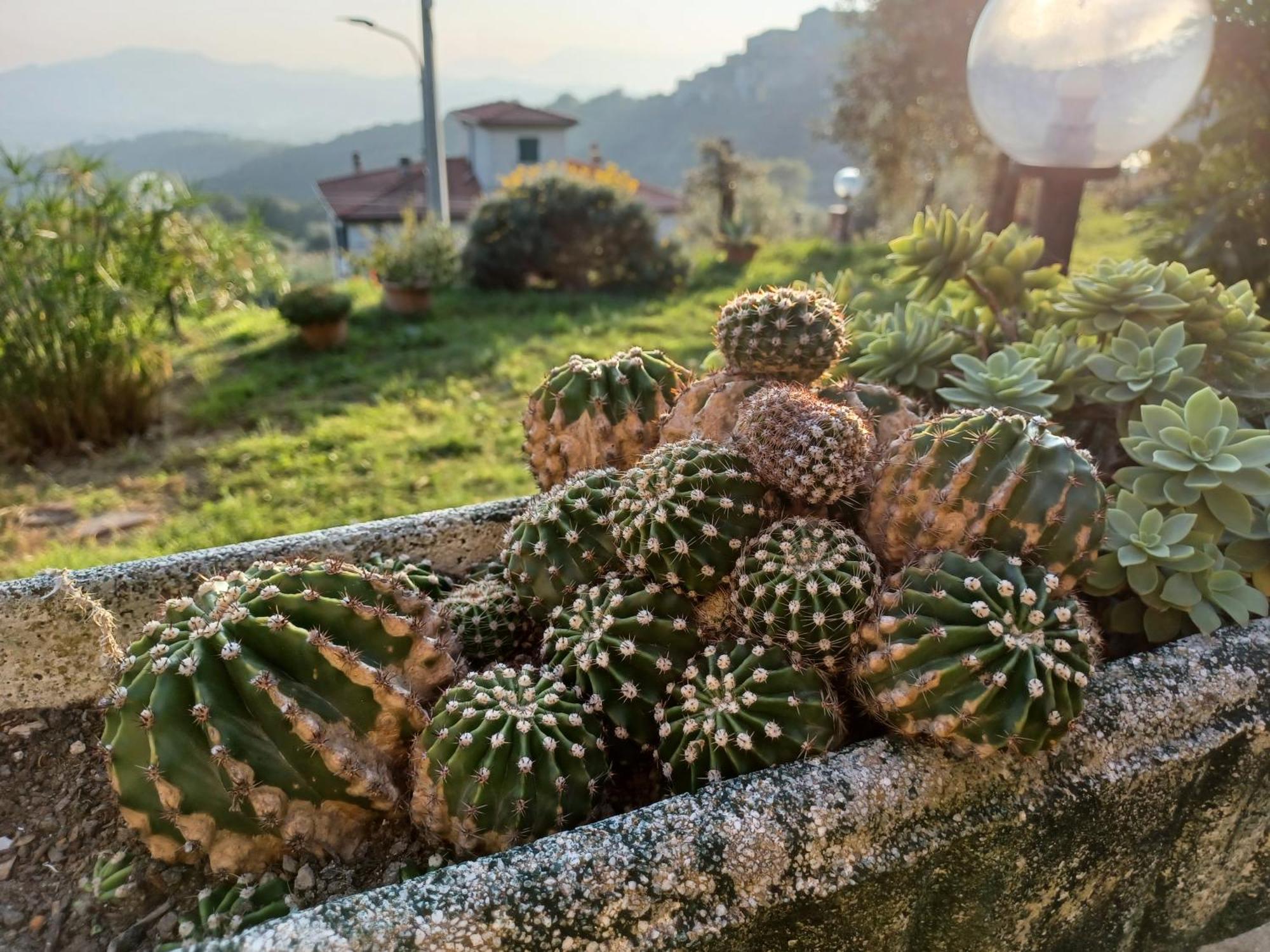 Ponzano Superiore Il Fontoloヴィラ エクステリア 写真